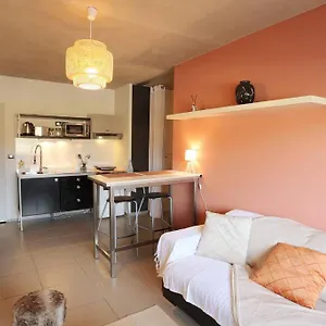  Appartement Le Saint Roch 1 - Ac Clim - Wifi - 50m Centre France